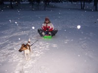 /album/fotogalerie/a100-0454-jpg/