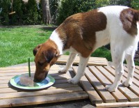 /album/fotogalerie/a100-1828-resize-jpg/