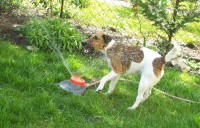 /album/fotogalerie/a100-1997-resize-jpg/