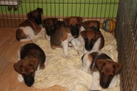 /album/fotogalerie/img-2086-1-jpg1/