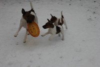 /album/fotogalerie/img-2770-1-1-jpg/