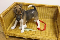 /album/fotogalerie/img-2220-1-jpg/