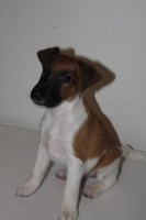 /album/fotogalerie/img-2446-1-jpg1/